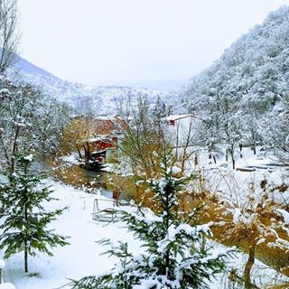 Marius Cristian Ragamentu's avatar