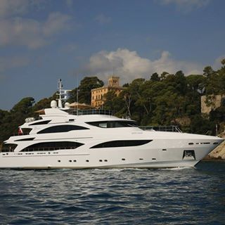 Nikolay Petrov's avatar