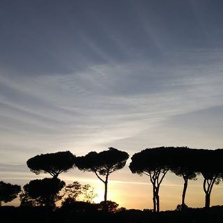 Mircea Harabagiu's avatar