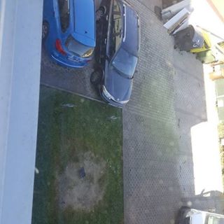 Michael Beranek's avatar