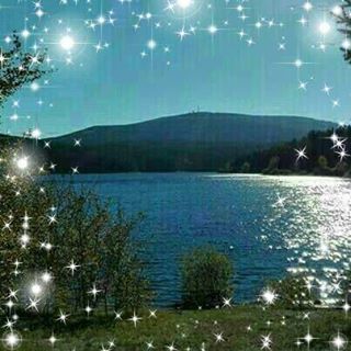 Sonja Moritz's avatar