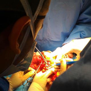 Manuel Alejandro Guevara's avatar