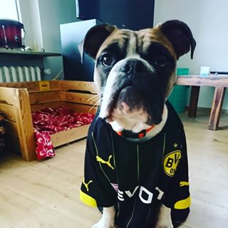 Theo Franko's avatar