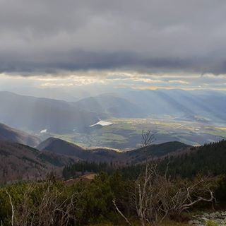 Tomas Hagara's avatar