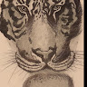 Kenn K's avatar