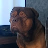 trev g's avatar