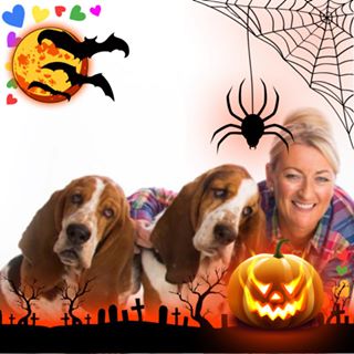 Debbie Freeman's avatar