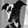 George P's avatar