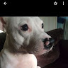Julie C's avatar