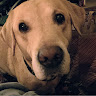 Cate R's avatar