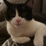 Simon's avatar