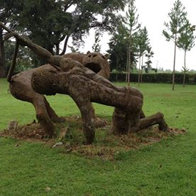 Rob Gabuguga's avatar