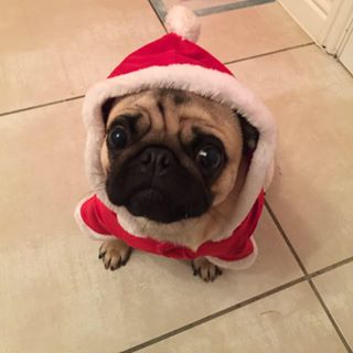 James French's avatar