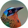Michael M's avatar