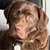 Frances Greves's avatar