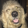 PRIVATE P's avatar
