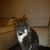 Sukie B's avatar