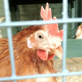 Michelle Brock's avatar