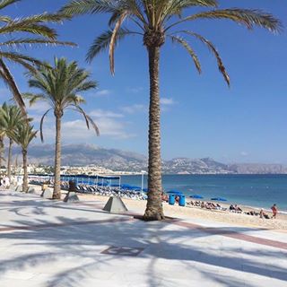 Ralph Stoker's avatar