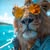 Rob P's avatar