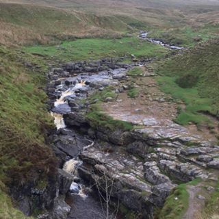 Liyakat Patel's avatar