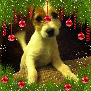 Margaret Thompson's avatar