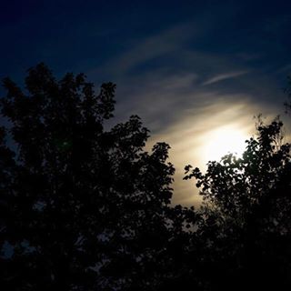 Prashanth Rao's avatar