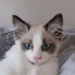 Stuart Sullivan's avatar