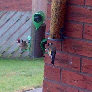 Tim Harding's avatar