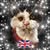Karen B's avatar