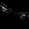 Daniel F's avatar