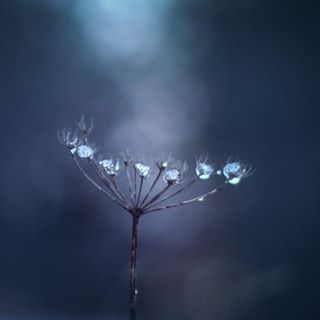 Cheryl Ricketts's avatar