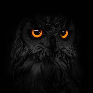 Sarah Qua-Jones's avatar