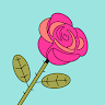 AMBREEN B's avatar