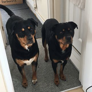 Martin Dray's avatar