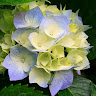 {"display":"georgia","full_name":"georgia","avatar":{"url":"\/assets\/uploads\/avatars\/users\/1215262.png"}}'s avatar