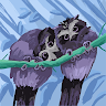 Nathan M's avatar