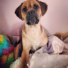 Suzie S's avatar