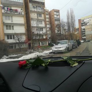 Ovidiu Cimpoesu's avatar