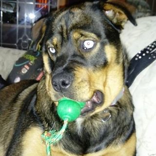 Lynne Jones's avatar