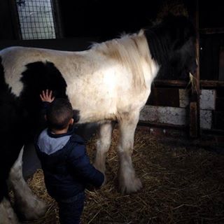 Adam Barrass's avatar