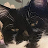 Sophie M's avatar