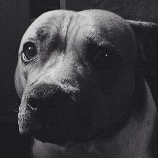 Freddie Mercyry's avatar