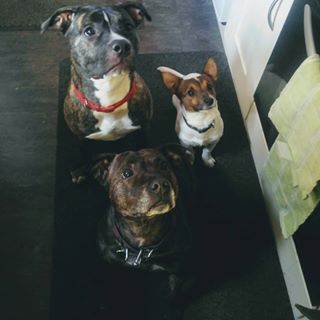 Sonya Porter's avatar