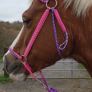 Tracey Walsh's avatar