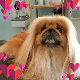 Diane Mills's avatar