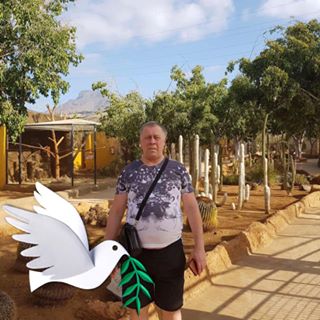 Arunas Vaitkus's avatar