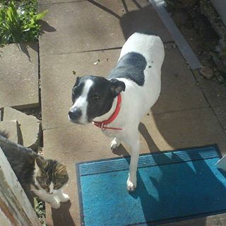 Jackie Stokes's avatar