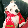 JoeDlfc's avatar