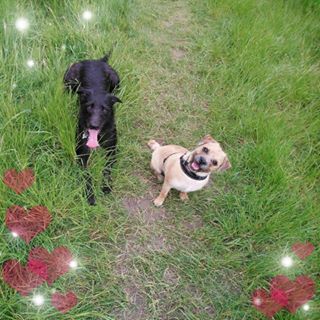 Anita Waner's avatar